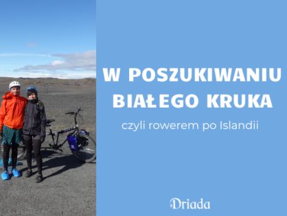 W poszukiwaniu białego kruka, czyli dlaczego uczę się języka islandzkiego